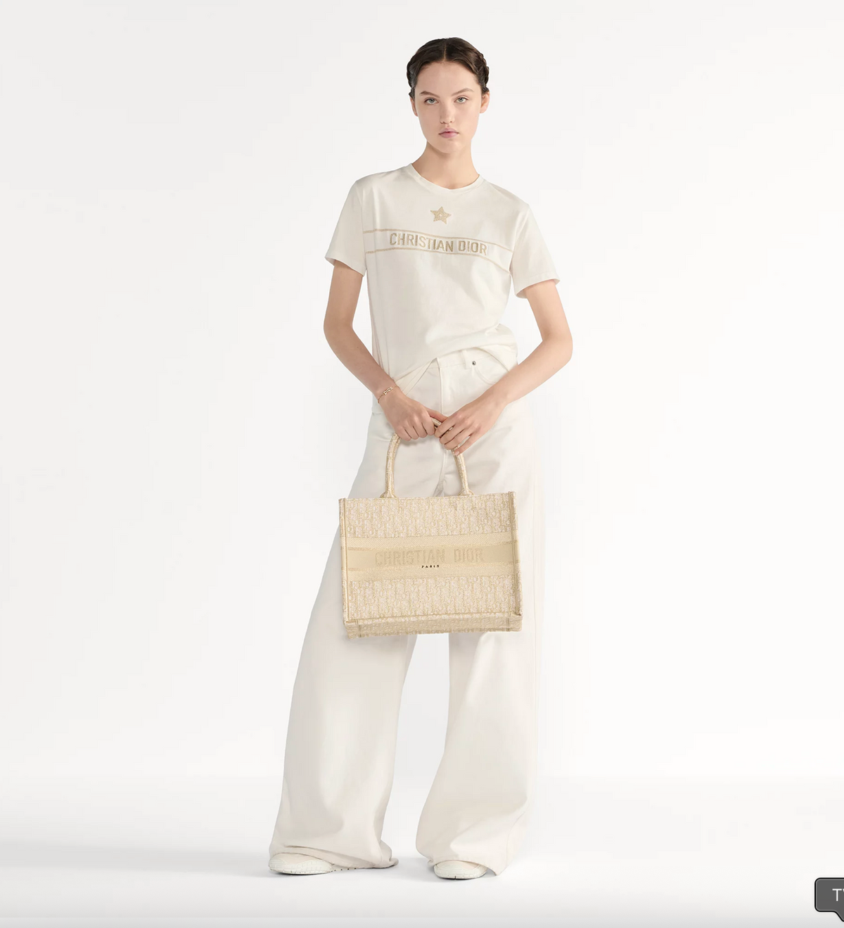 Dior Book Tote Medium Bag Beige