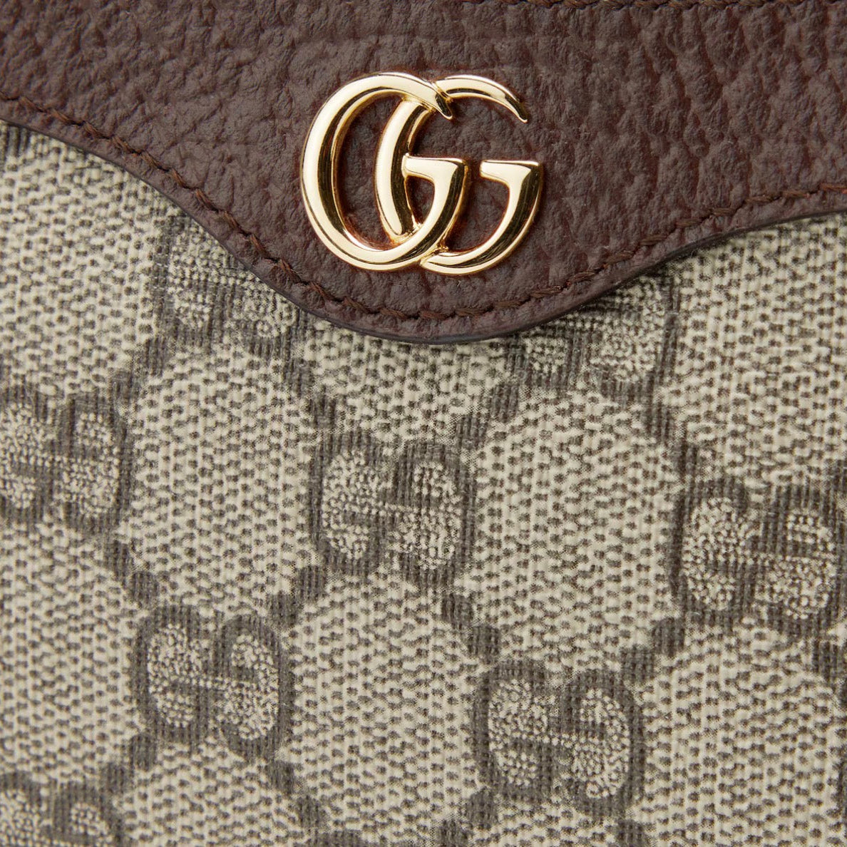 Gucci Ophidia Mini Bag