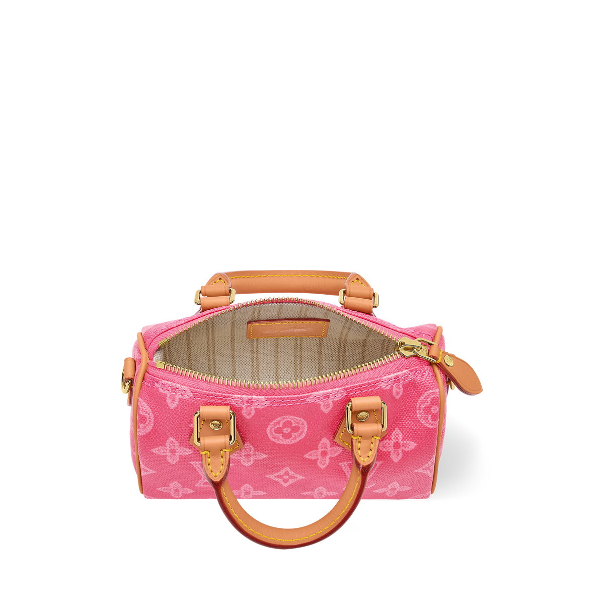 LV Nano Speedy Pink Canvas Bag