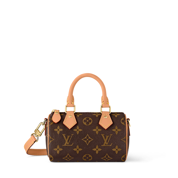 LV Nano Speedy Canvas Bag